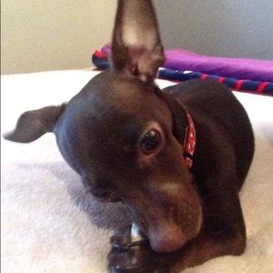 Meet your Posher, Cami